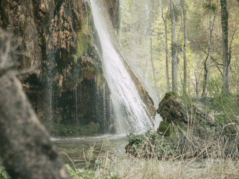 Intervallfasten Wirkung, Longevity Ärzte, Freiburg, Deutschland